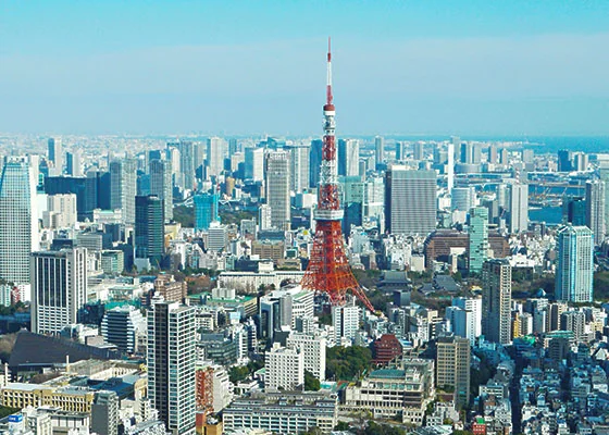日本公司需要年审报税吗